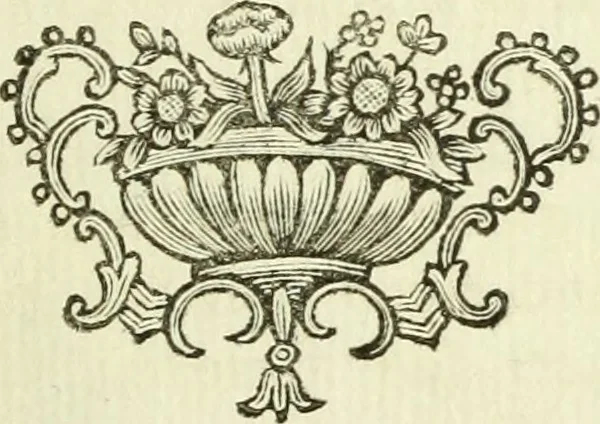 An illustration from Serie degli uomini i più illustri nella pittura, scultura, e architettura : con i loro elogi, e ritratti incisi in rame cominciando dalla sua prima restaurazione fino ai tempi presenti .., 1769, leaf 164