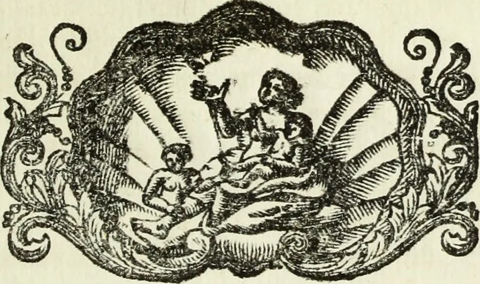 An illustration from Serie degli uomini i più illustri nella pittura, scultura, e architettura : con i loro elogi, e ritratti incisi in rame cominciando dalla sua prima restaurazione fino ai tempi presenti .., 1769, leaf 246