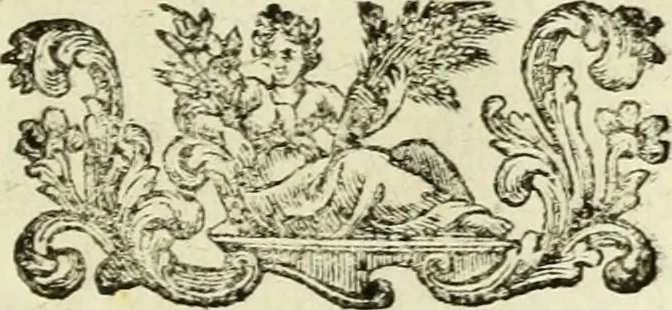 An illustration from Serie degli uomini i più illustri nella pittura, scultura, e architettura : con i loro elogi, e ritratti incisi in rame cominciando dalla sua prima restaurazione fino ai tempi presenti .., 1769, leaf 114