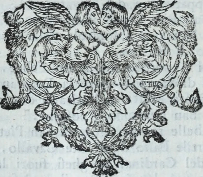 An illustration from Serie degli uomini i più illustri nella pittura, scultura, e architettura : con i loro elogi, e ritratti incisi in rame cominciando dalla sua prima restaurazione fino ai tempi presenti .., 1769, leaf 137
