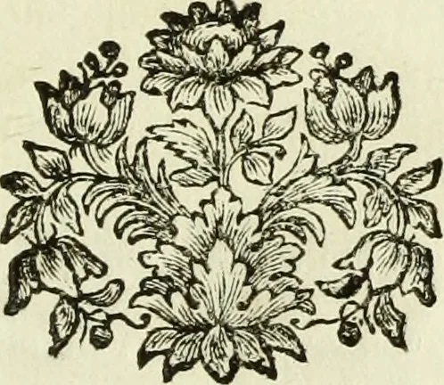 An illustration from Serie degli uomini i più illustri nella pittura, scultura, e architettura : con i loro elogi, e ritratti incisi in rame cominciando dalla sua prima restaurazione fino ai tempi presenti .., 1769, leaf 144