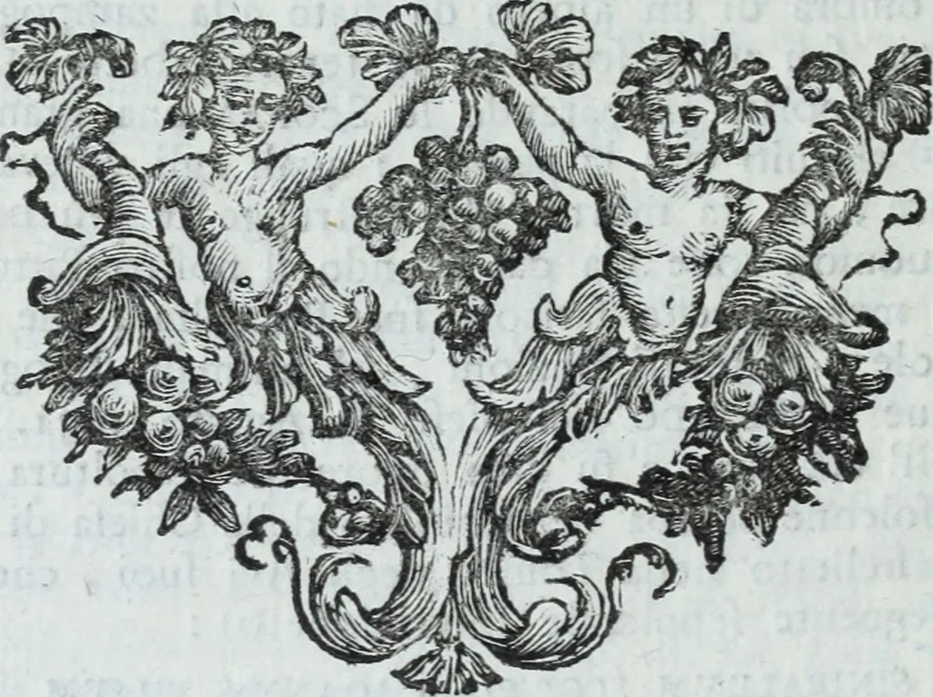 An illustration from Serie degli uomini i più illustri nella pittura, scultura, e architettura : con i loro elogi, e ritratti incisi in rame cominciando dalla sua prima restaurazione fino ai tempi presenti .., 1769, leaf 187