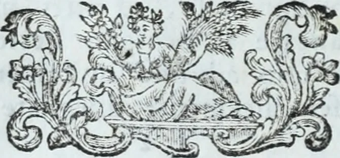 An illustration from Serie degli uomini i più illustri nella pittura, scultura, e architettura : con i loro elogi, e ritratti incisi in rame cominciando dalla sua prima restaurazione fino ai tempi presenti .., 1769, leaf 207