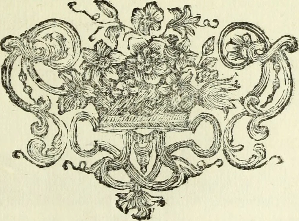 An illustration from Serie degli uomini i più illustri nella pittura, scultura, e architettura : con i loro elogi, e ritratti incisi in rame cominciando dalla sua prima restaurazione fino ai tempi presenti .., 1769, leaf 62