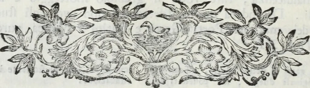 An illustration from Serie degli uomini i più illustri nella pittura, scultura, e architettura : con i loro elogi, e ritratti incisi in rame cominciando dalla sua prima restaurazione fino ai tempi presenti .., 1769, leaf 101