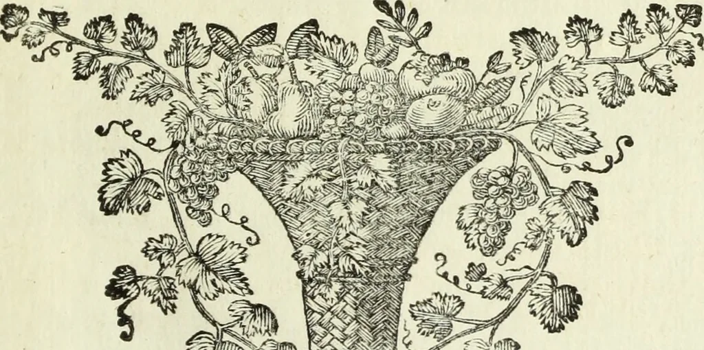 An illustration from Serie degli uomini i più illustri nella pittura, scultura, e architettura : con i loro elogi, e ritratti incisi in rame cominciando dalla sua prima restaurazione fino ai tempi presenti .., 1769, leaf 180