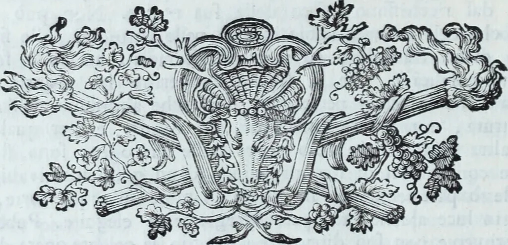 An illustration from Serie degli uomini i più illustri nella pittura, scultura, e architettura : con i loro elogi, e ritratti incisi in rame cominciando dalla sua prima restaurazione fino ai tempi presenti .., 1769, leaf 215