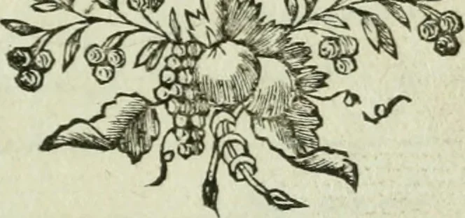 An illustration from Série des colonnes, 1782, leaf 8