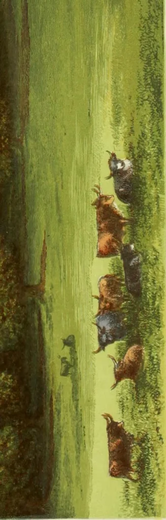 An illustration from A series of picturesque views of seats of the noblemen and gentlemen of Great Britain and Ireland. With descriptive and historical letterpress, 1880, leaf 203