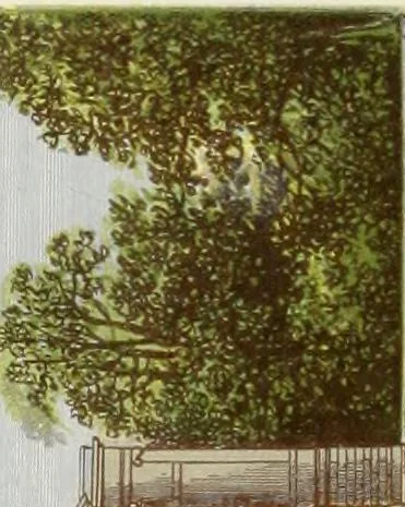 An illustration from A series of picturesque views of seats of the noblemen and gentlemen of Great Britain and Ireland. With descriptive and historical letterpress, 1880, leaf 195