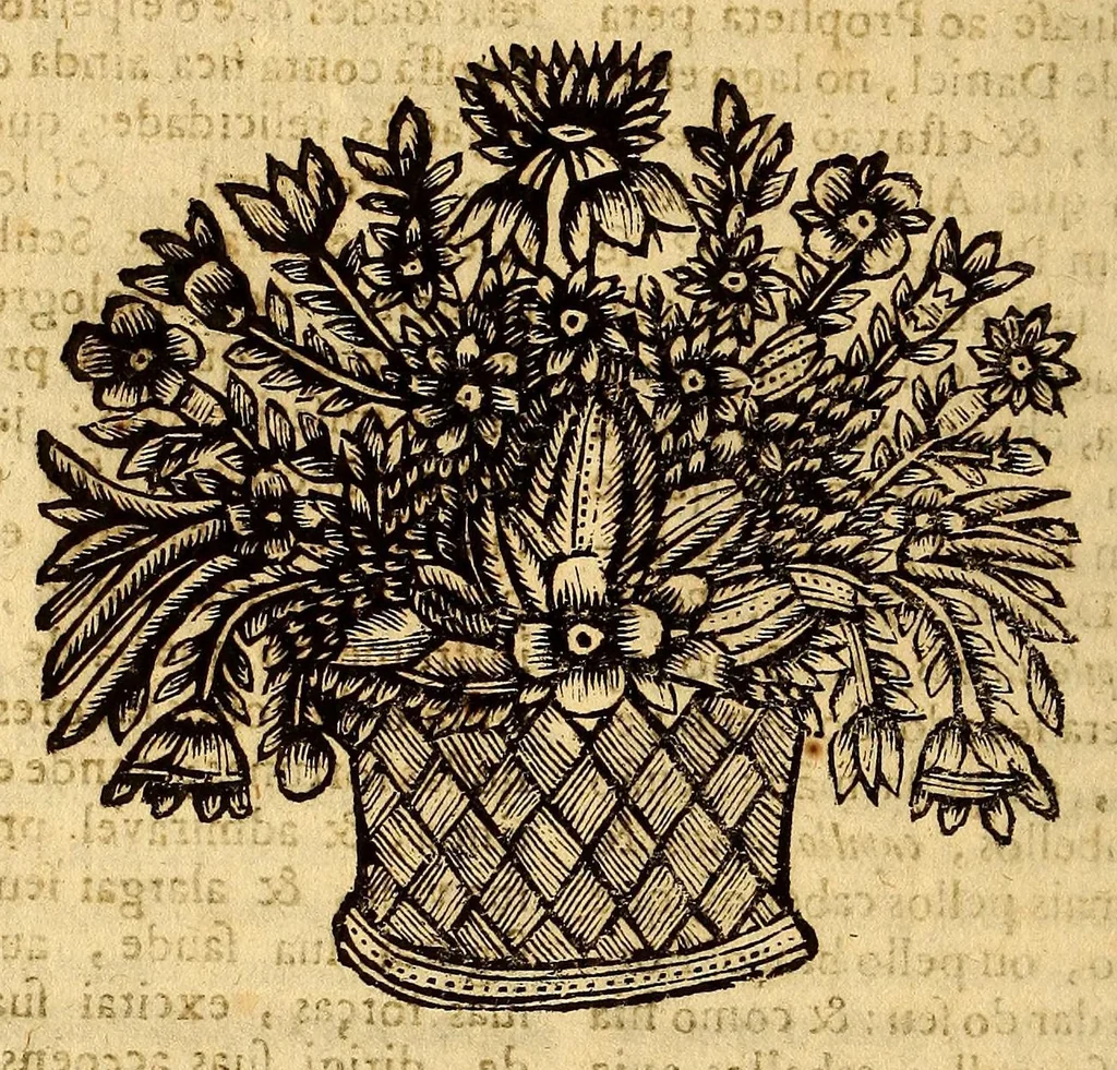 An illustration from Sermaõ que pregou o P. Antonio de Saa da Companhia de Iesu no dia que S. Magestade fas annos em 21. de agosto de 663, 1665, leaf 26