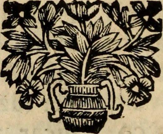 An illustration from Sermoens, 1694, leaf 155