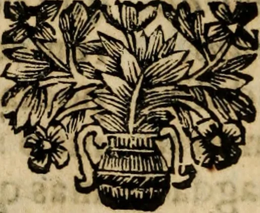 An illustration from Sermoens, 1694, leaf 203