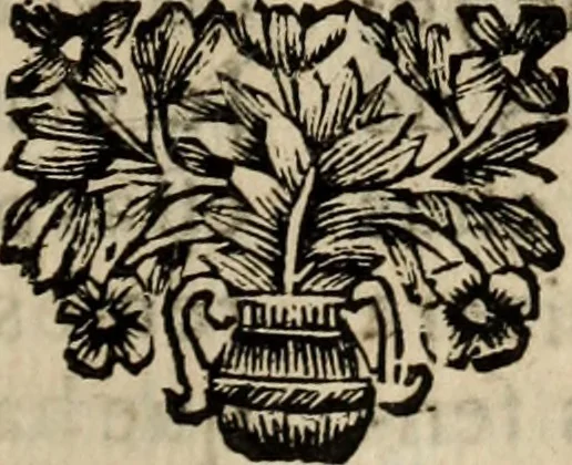 An illustration from Sermoens, 1694, leaf 230