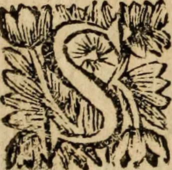 An illustration from Sermoens, 1694, leaf 255