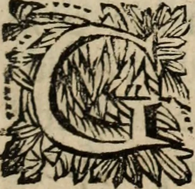 An illustration from Sermoens, 1694, leaf 28