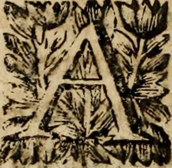 An illustration from Sermoens, 1694, leaf 305