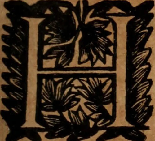 An illustration from Sermoens, 1694, leaf 6