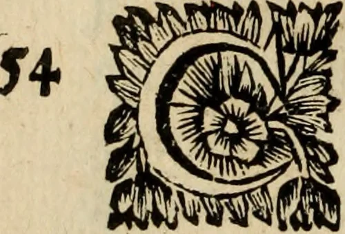 An illustration from Sermoens, 1694, leaf 89