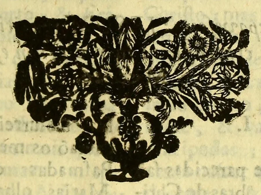 An illustration from Sermoens do P. Antonio Vieyra da Companhia de Jesu, prègador de Sua Magestade. Parte duodecima, 1699, leaf 169