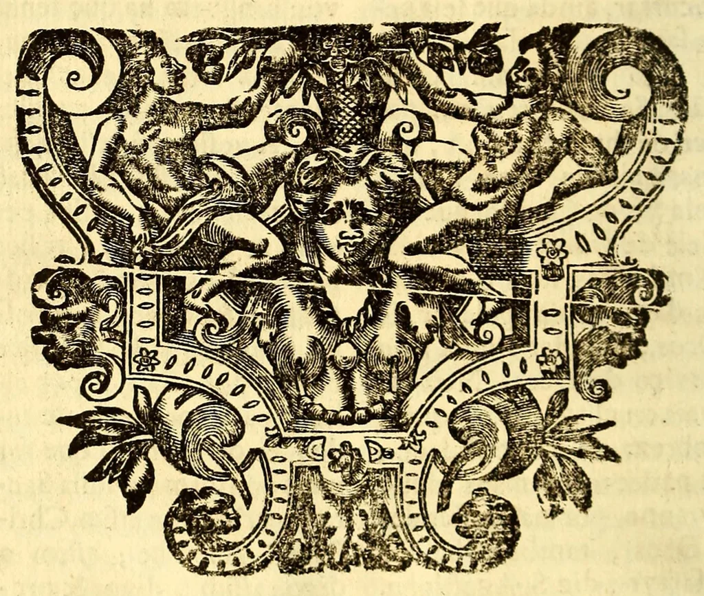 An illustration from Sermoens do P. Antonio Vieyra da Companhia de Jesu, prègador de Sua Magestade. Parte duodecima, 1699, leaf 362