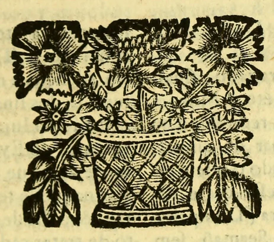 An illustration from Sermoens do P. Antonio Vieira, da Companhia de Iesu, Prégador de Sua Magestade. Terceira parte, 1683, leaf 159