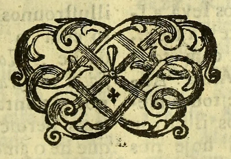 An illustration from Sermoens do P. Antonio Vieira, da Companhia de Jesu, Prègador de Sua Magestade. Quarta parte, 1685, leaf 225