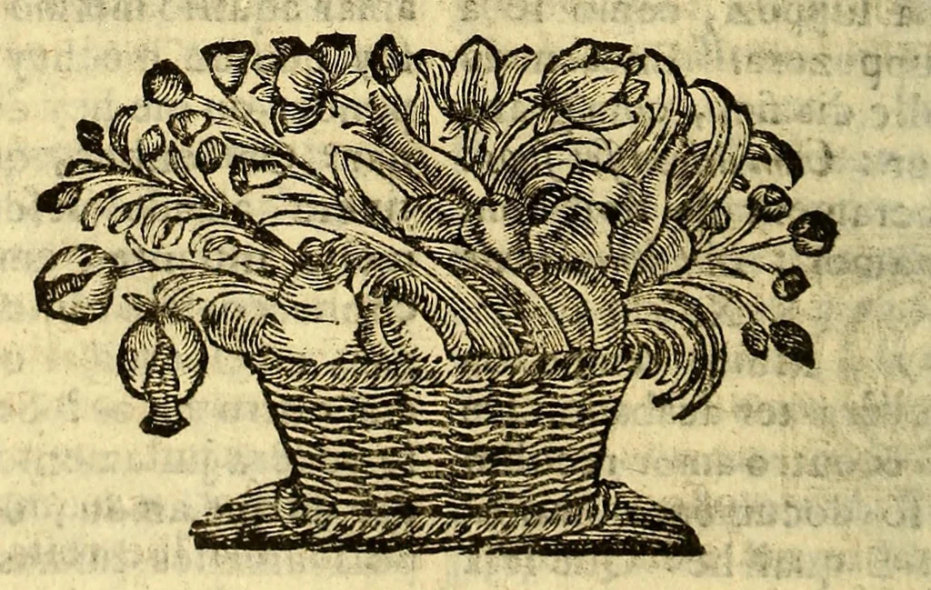 An illustration from Sermoens do P. Antonio Vieira, da Companhia de Jesu, Prègador de Sua Magestade. Quarta parte, 1685, leaf 372