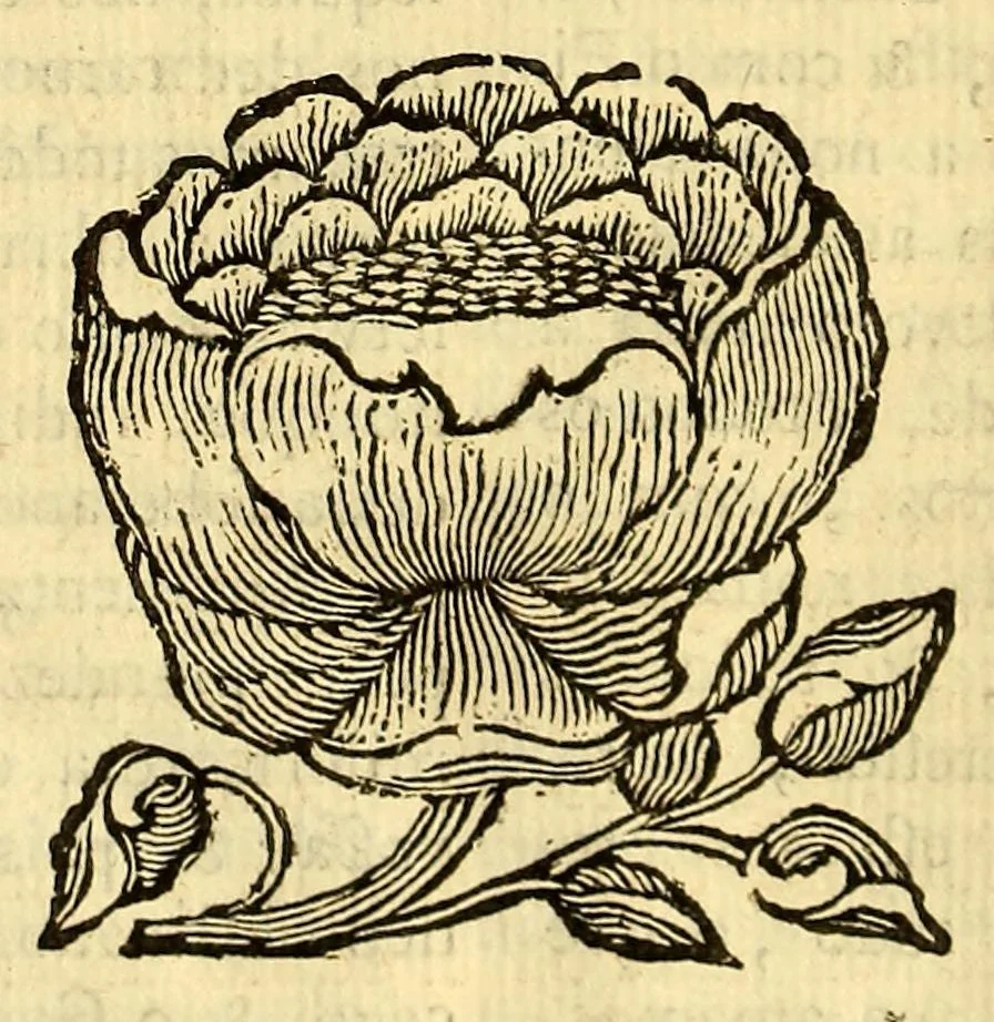 An illustration from Sermoens do P. Antonio Vieira, da Companhia de Iesu, Prégador de Sua Alteza. Primeyra parte, 1679, leaf 142
