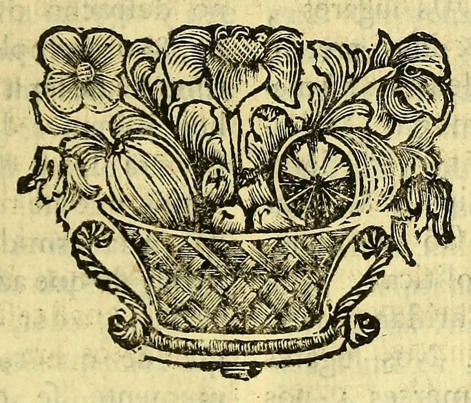 An illustration from Sermoens do P. Antonio Vieira, da Companhia de Iesu, Prégador de Sua Alteza. Primeyra parte, 1679, leaf 177