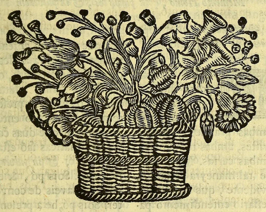 An illustration from Sermoens do P. Antonio Vieira, da Companhia de Iesu, Prégador de Sua Alteza. Primeyra parte, 1679, leaf 71