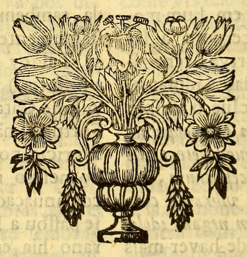 An illustration from Sermoens do P. Antonio Vieira, da Companhia de Iesu, Prégador de Sua Alteza. Segunda parte, 1682, leaf 284