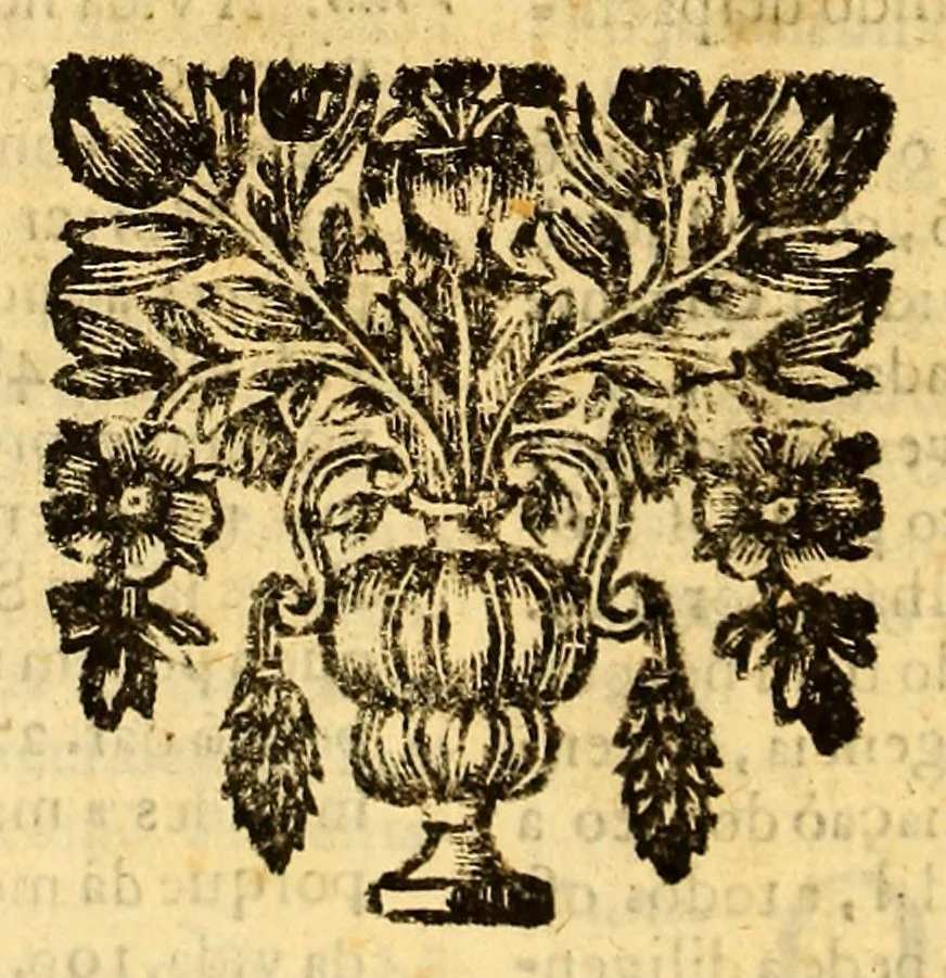 An illustration from Sermoens do P. Antonio Vieira, da Companhia de Iesu, Prégador de Sua Alteza. Segunda parte, 1682, leaf 540