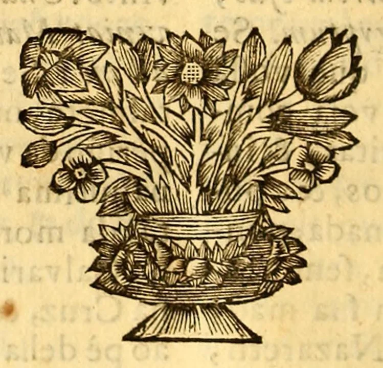 An illustration from Sermoens do P. Antonio Vieyra da Companhia de Jesu, prègador de Sua Magestade, septima parte, 1692, leaf 316