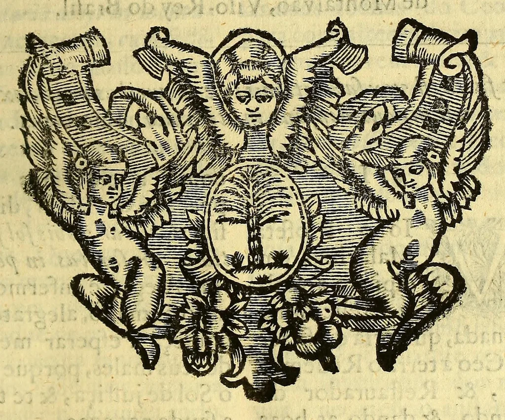An illustration from Sermoens do P. Antonio Vieyra da Companhia de Jesu, visitador da Provincia do Brasil, prégador de sua magestade, sexta parte, 1690, leaf 401
