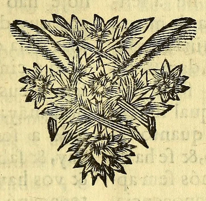 An illustration from Sermoens do P. Antonio Vieyra da Companhia de Jesu, visitador da Provincia do Brasil, prégador de sua magestade, sexta parte, 1690, leaf 71