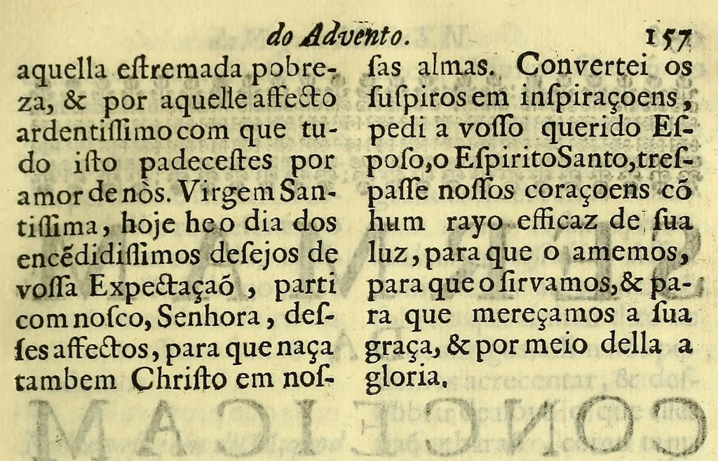 An illustration from Sermoens do P. Antonio Vieira, da Companhia de Jesu, visitador da Provincia do Brasil, Prègador de Sua Magestade. Quinta parte, 1689, leaf 173