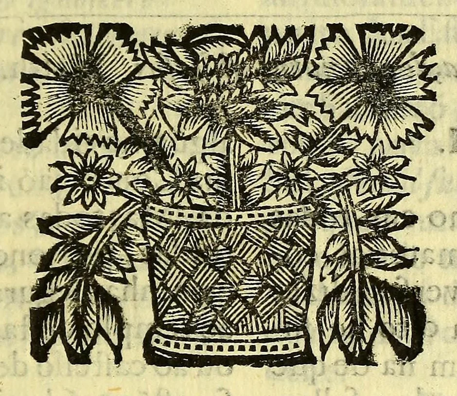 An illustration from Sermoens do P. Antonio Vieira, da Companhia de Jesu, visitador da Provincia do Brasil, Prègador de Sua Magestade. Quinta parte, 1689, leaf 173