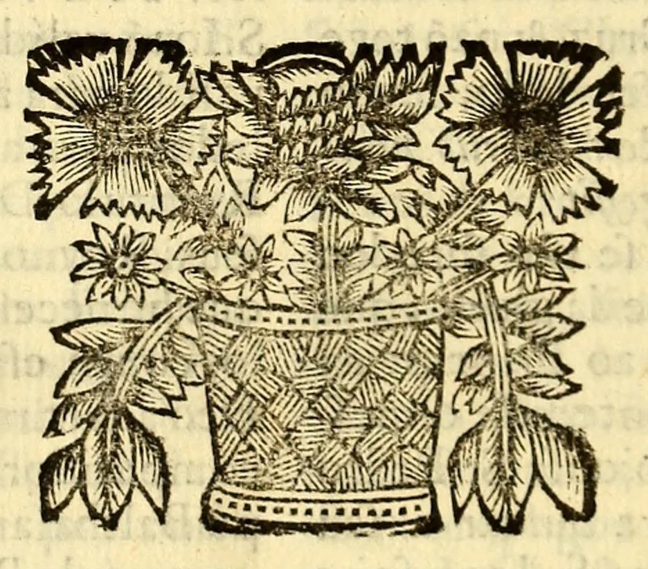 An illustration from Sermoens do P. Antonio Vieira, da Companhia de Jesu, visitador da Provincia do Brasil, Prègador de Sua Magestade. Quinta parte, 1689, leaf 446