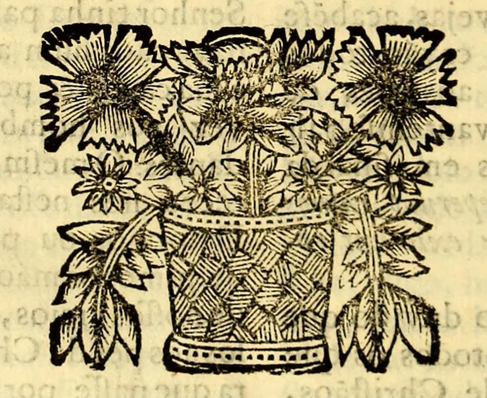 An illustration from Sermoens do P. Antonio Vieira, da Companhia de Jesu, visitador da Provincia do Brasil, Prègador de Sua Magestade. Quinta parte, 1689, leaf 548