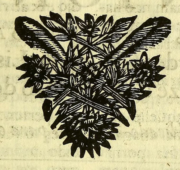 An illustration from Sermoens do P. Antonio Vieyra, da Companhia de Jesu, prègador de Sua Magestade. Undecima parte, 1696, leaf 141