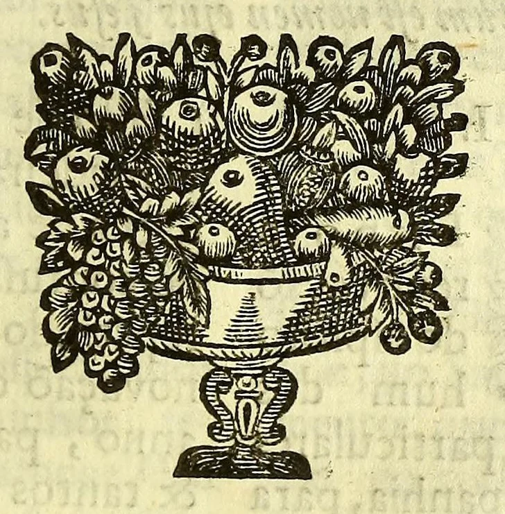 An illustration from Sermoens do P. Antonio Vieyra, da Companhia de Jesu, prègador de Sua Magestade. Undecima parte, 1696, leaf 323