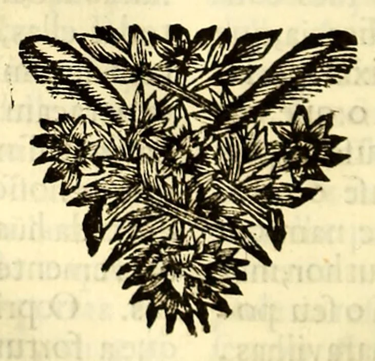 An illustration from Sermoens do P. Antonio Vieyra, da Companhia de Jesu, prègador de Sua Magestade. Undecima parte, 1696, leaf 400