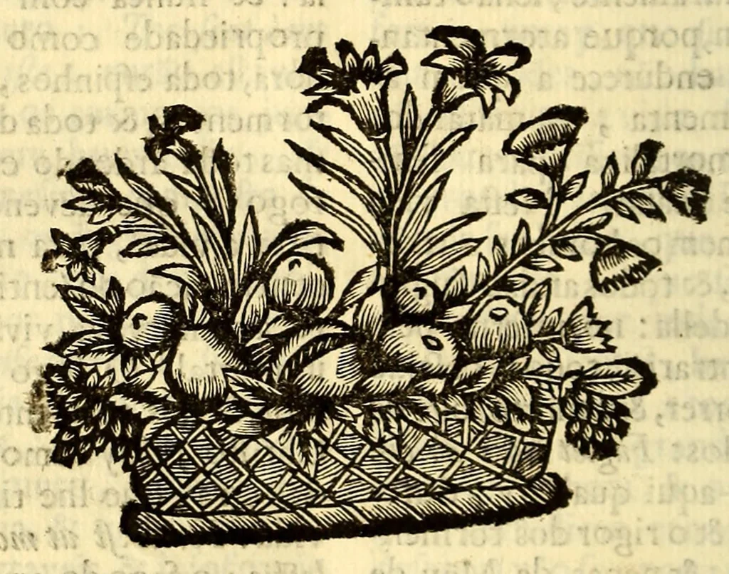 An illustration from Sermoens do P. Antonio Vieyra, da Companhia de Jesu, prègador de Sua Magestade. Undecima parte, 1696, leaf 482