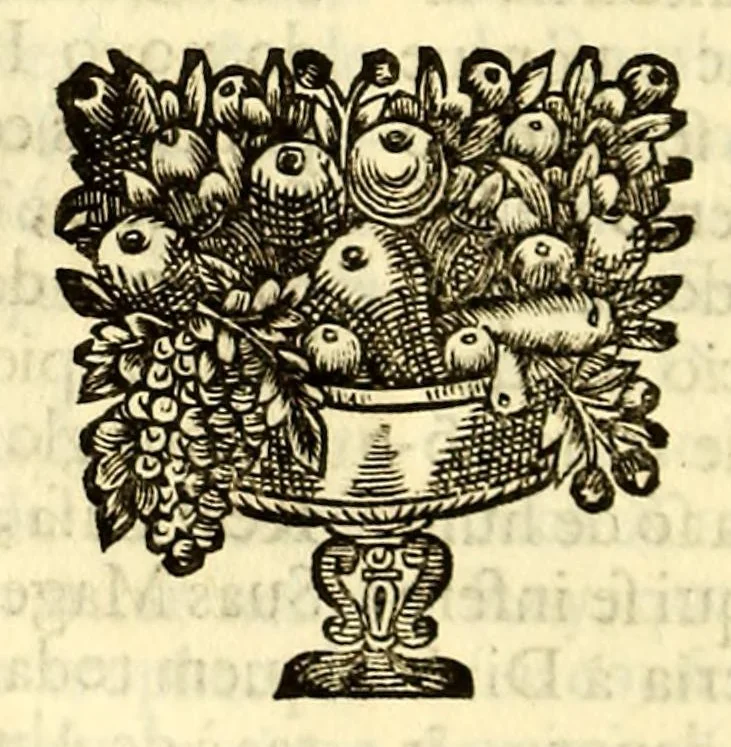 An illustration from Sermoens do P. Antonio Vieyra, da Companhia de Jesu, prègador de Sua Magestade. Undecima parte, 1696, leaf 542