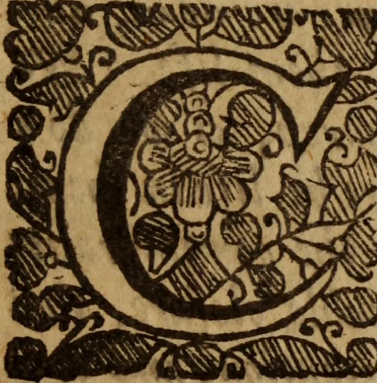 An illustration from A sermon of judgment : preached at Pauls before the Honourable Lord Mayor and Aldermen of the city of London, Decemb. 17. 1654, and now enlarged, 1658, leaf 272
