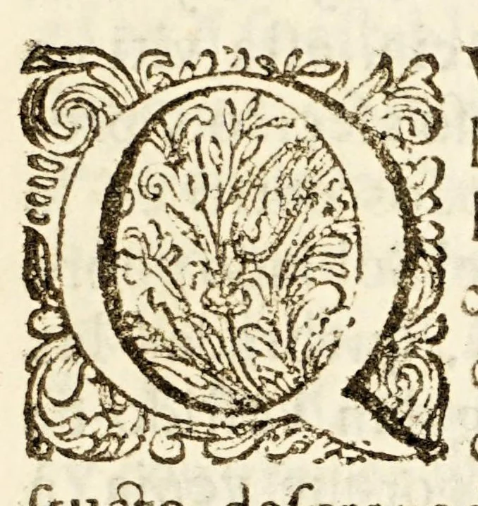 An illustration from Sermon, 1689, leaf 15