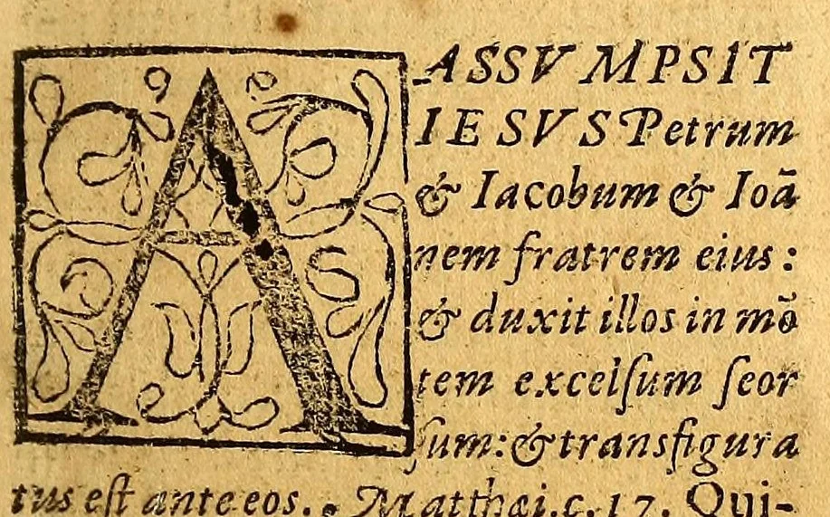 An illustration from Sermonario en lengua mexicana, : donde se contiene (por el orden del missal nueuo romano,) dos sermones en todas las dominicas y festiuidades principales de todo el año: y otro en las fiestas de los Sanctos, con sus vidas, y comunes. Con vn Cathecismo en lengua mexicana y española, con el Calendario., 1577, leaf 359