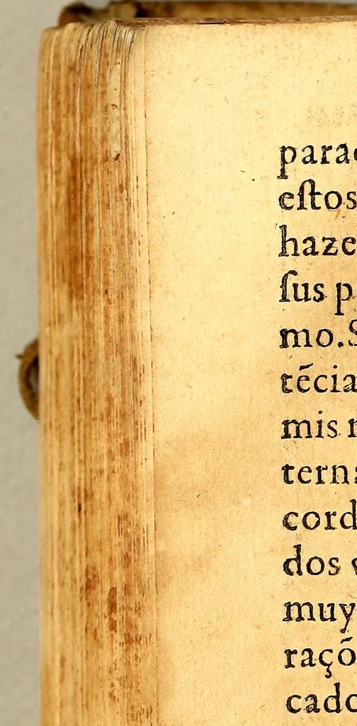 An illustration from Sermonario en lengua mexicana, : donde se contiene (por el orden del missal nueuo romano,) dos sermones en todas las dominicas y festiuidades principales de todo el año: y otro en las fiestas de los Sanctos, con sus vidas, y comunes. Con vn Cathecismo en lengua mexicana y española, con el Calendario., 1577, leaf 516