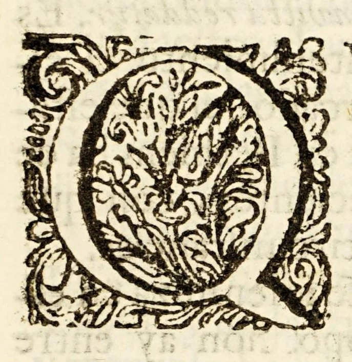 An illustration from Sermon del gran privado de Christo el evangelista San Juan en la titular fiesta, : que patente el SS. Sacramento celebra la Compañia de Bethlem en su Hospital de Convalecientes de Mexico., 1689, leaf 17